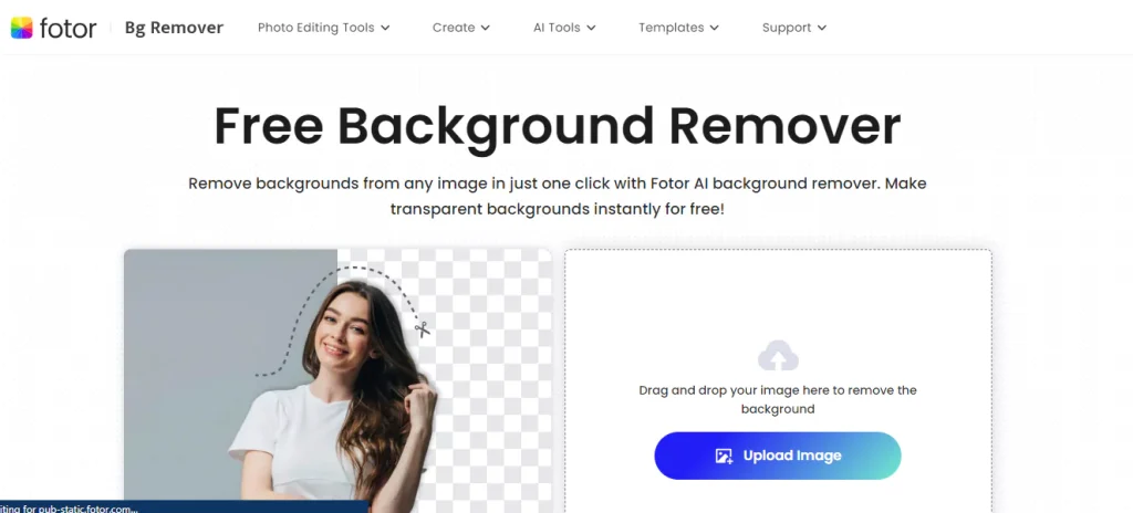 Best Transparent Background Image Maker: How To Make Any Image