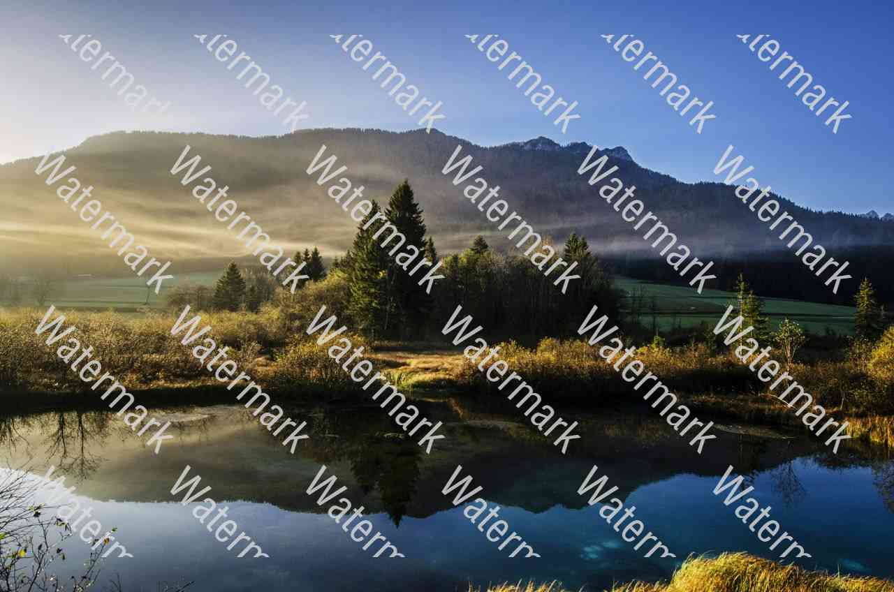 Image with watermark